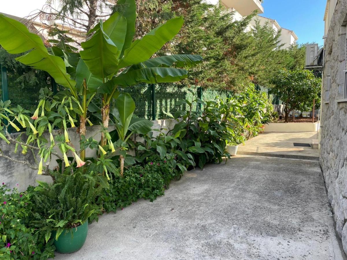 Aida Apartments And Rooms For Couples And Families Free Parking ドゥブロブニク エクステリア 写真