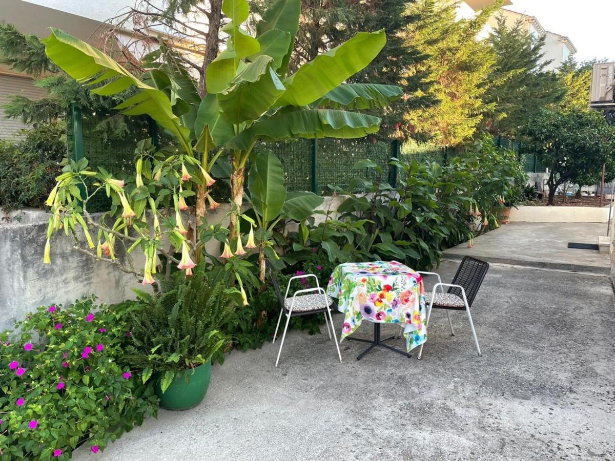 Aida Apartments And Rooms For Couples And Families Free Parking ドゥブロブニク エクステリア 写真